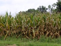 Mystery Run Aug 2015 039 : Mystery Run Aug 2015